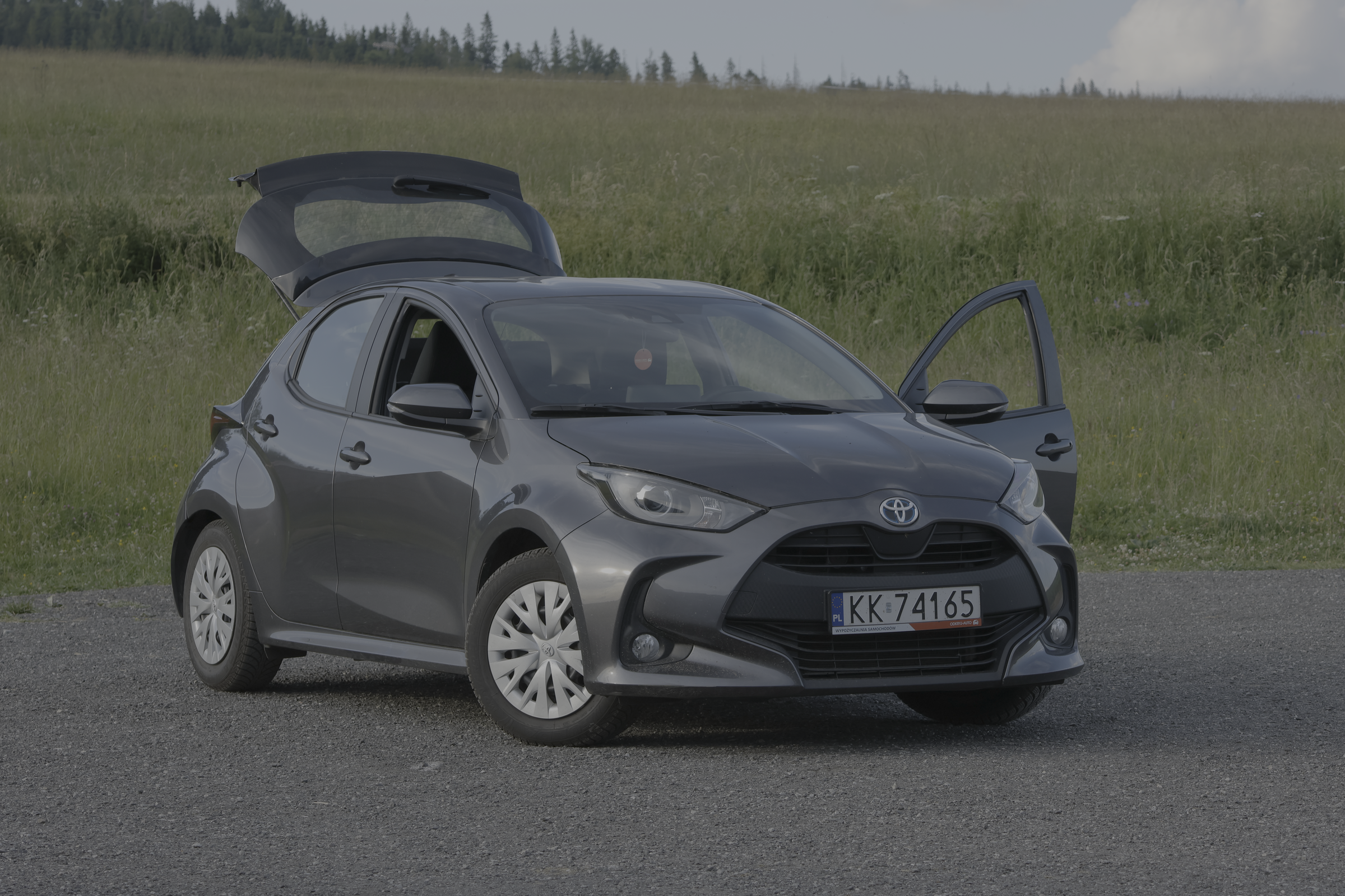 Voiture grise aux portières ouvertes, devant un paysage de campagne