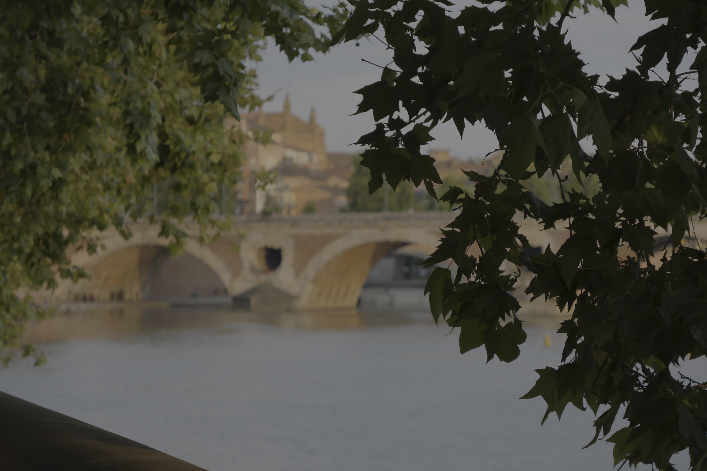 Pont de pierre au-dessus d’une rivière, encadré de feuilles