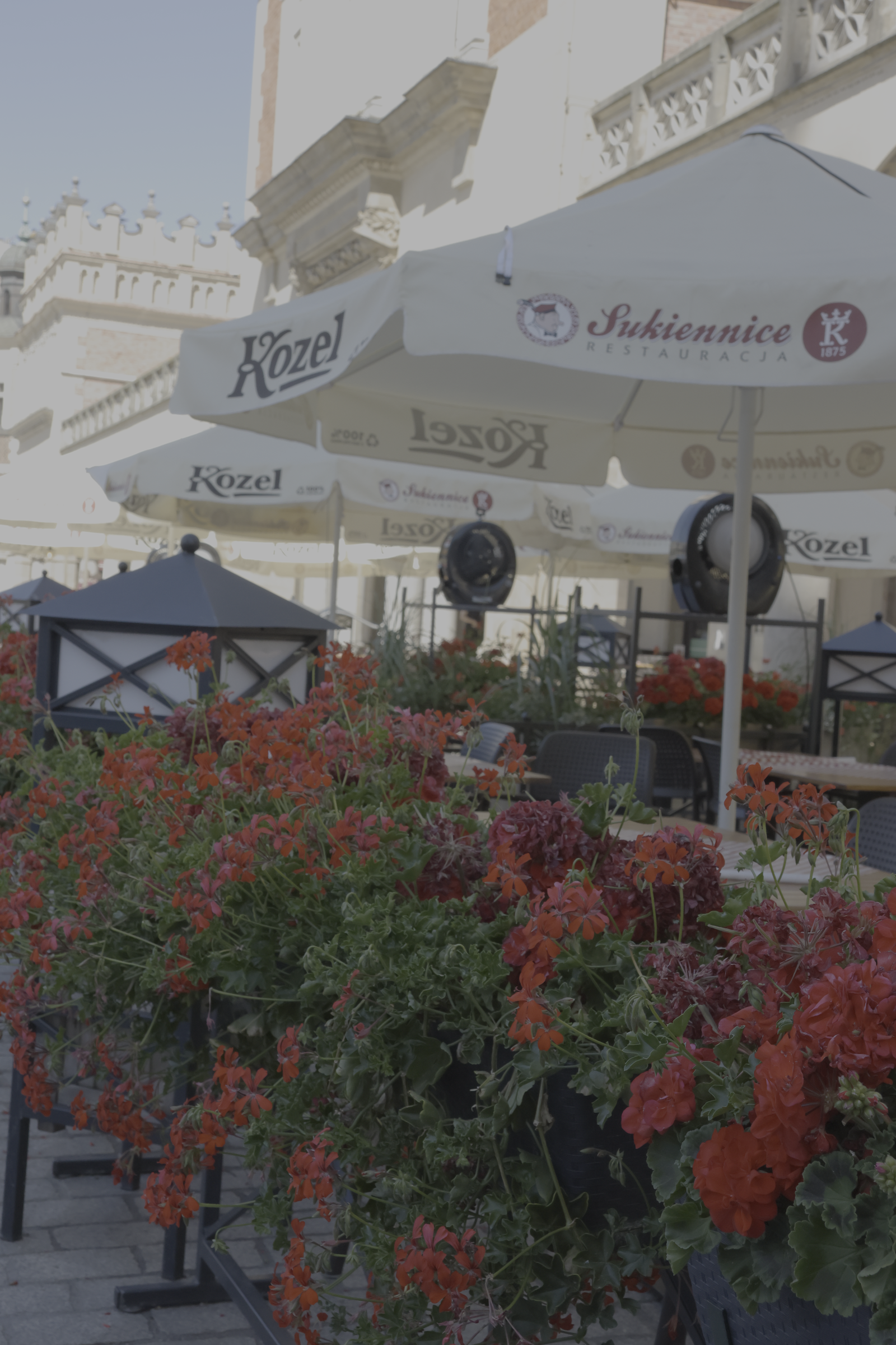 Terrasse fleurie et façade de restaurant dans la ville
